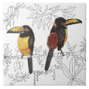 Carreau Toucans sur une vignette en céramique (W)