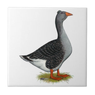 Carreau Toulouse Goose