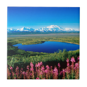 Carreau Toundra le mont McKinley Denali Alaska de scène
