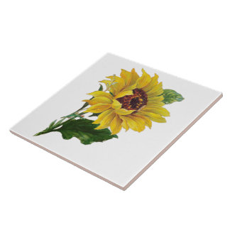 Carreau Tournesol