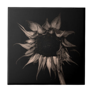 Carreau Tournesol - Beau Art Cool Unique