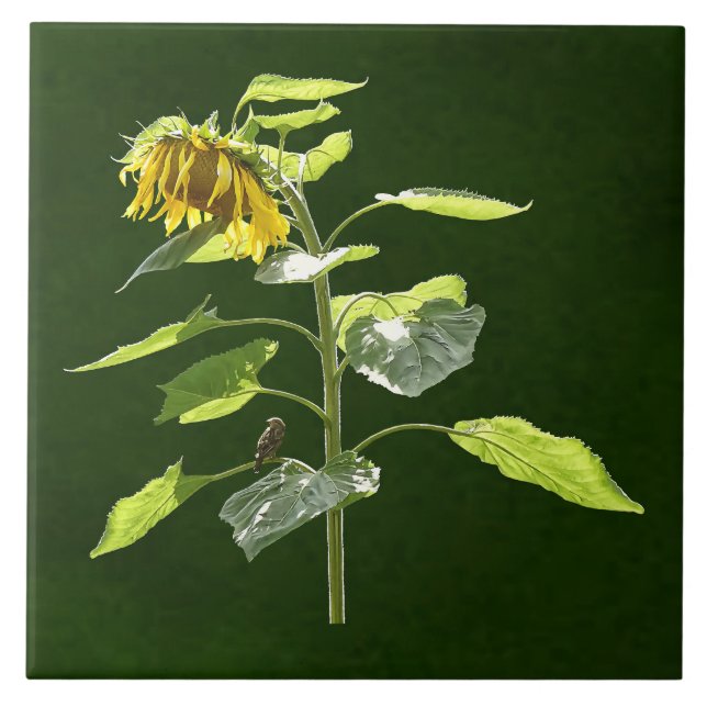 Carreau Tournesol et Épervier (Devant)