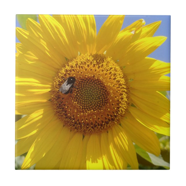 Carreau Tournesol jaune (Devant)