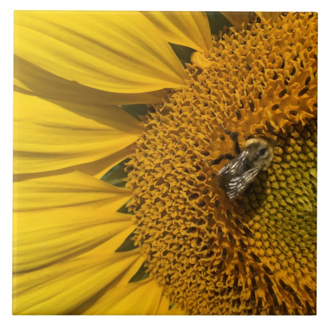 Carreau Tournesol Jaune Miel Abeille Carrelage en céramiqu (Devant)