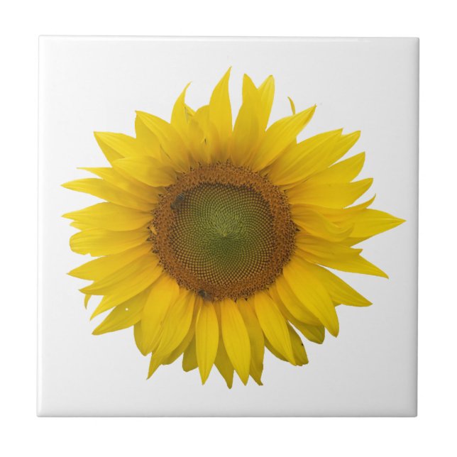 Carreau Tournesol moderne Simple Rustique (Devant)