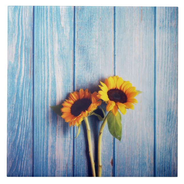 Carreau Tournesol sur Mur en Bois Bleu (Devant)