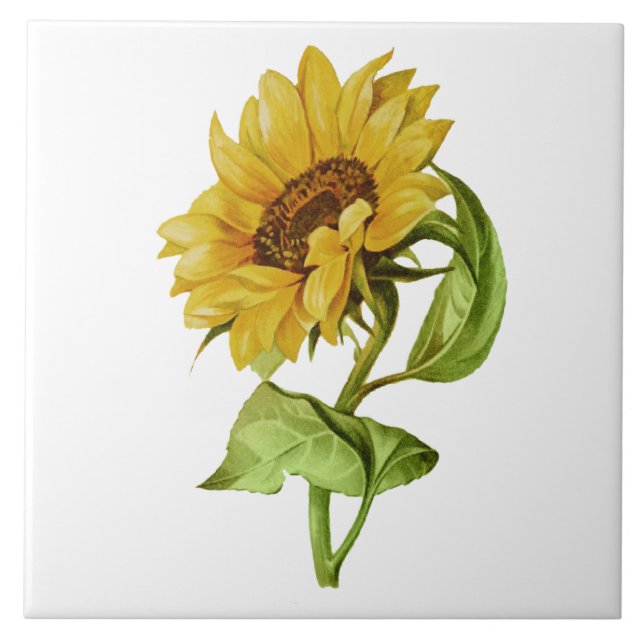 Carreau Tournesol Vintage Floral Rustique (Devant)