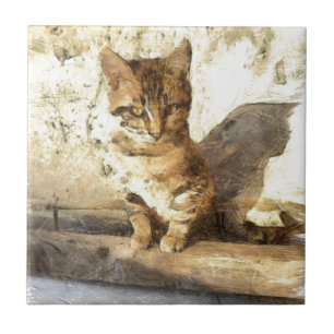 Carreau Tous Les Chats Sont Noirs Dans Le Croquis Crayon S