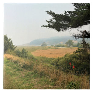 Carreau Trail at Cape Blanco