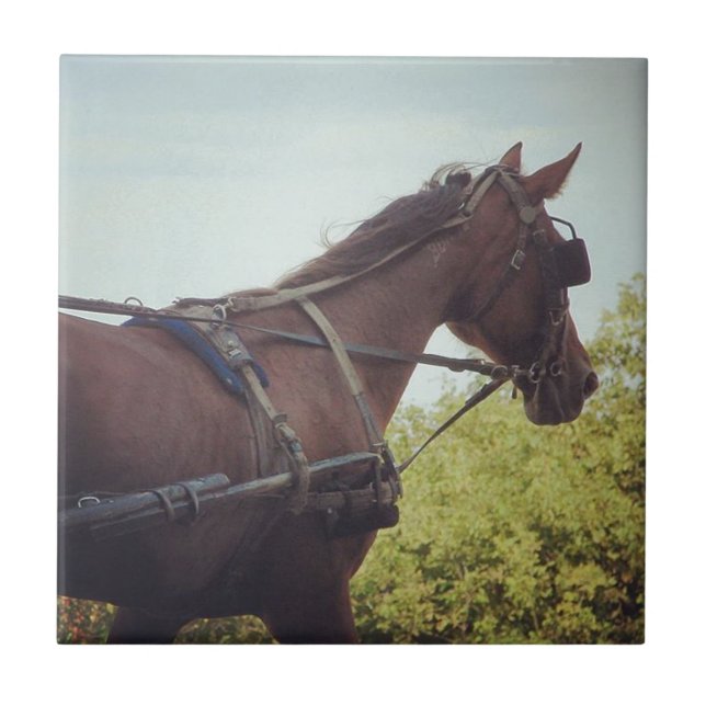Carreau Transport par cheval (Devant)