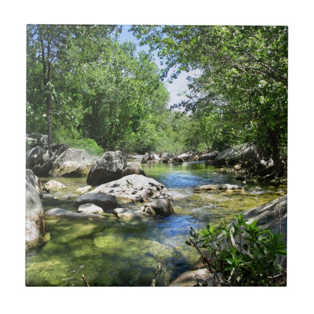 Carreau Traversée du ruisseau Barton - Austin Texas (Devant)