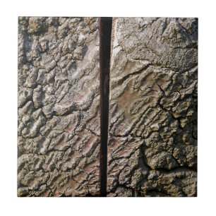 Carreau Tree with centre cut