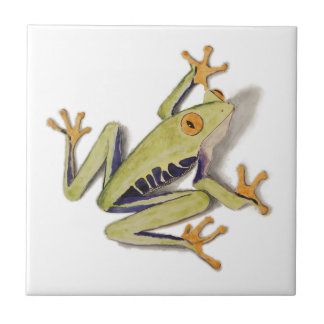 Carreau treefrog.jpg