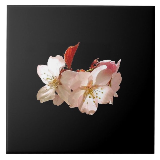Carreau Trépied de fleurs de cerisier (Devant)