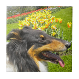 Carreau Tri Collie N. Tulips Tile Trivet