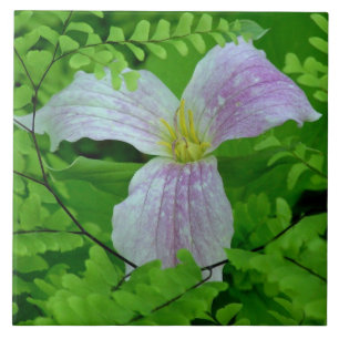 CARREAU TRILLLIUM ET FERMES CARRELAGE CÉRAMIQUE/TRIVET