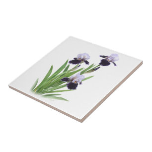 Carreau Trio d'Iris Barbus Violets Art Floral Botanique