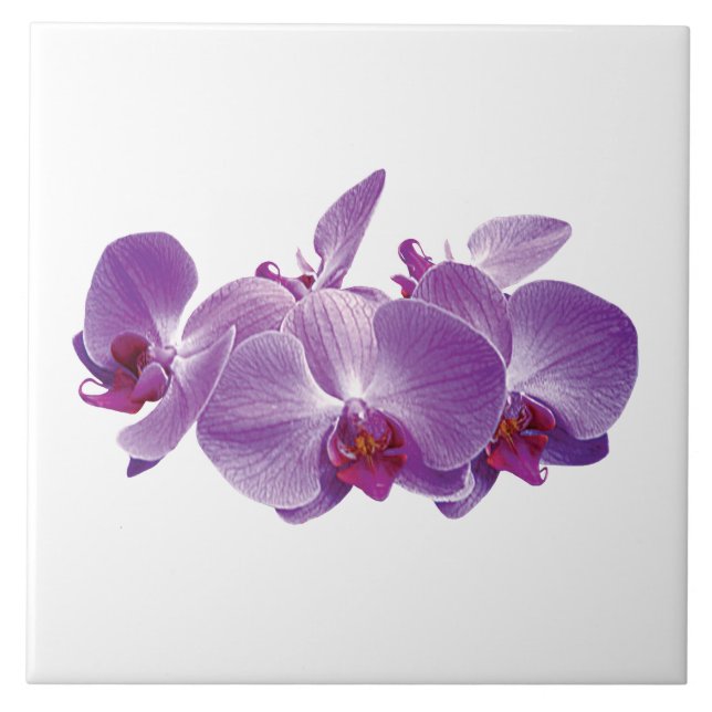 Carreau Trio d'orchidées violettes (Devant)