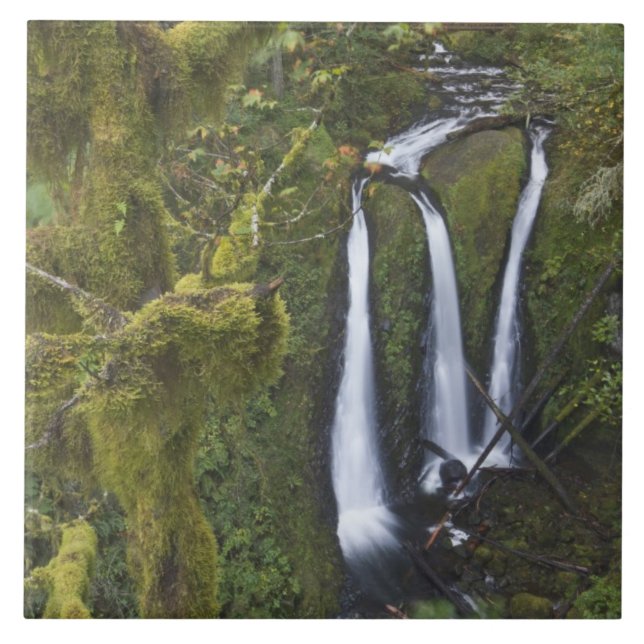 Carreau Triple Falls, gorge du Columbia (Devant)
