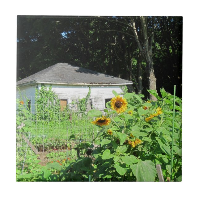 Carreau Trivet de jardin de campagne (Devant)