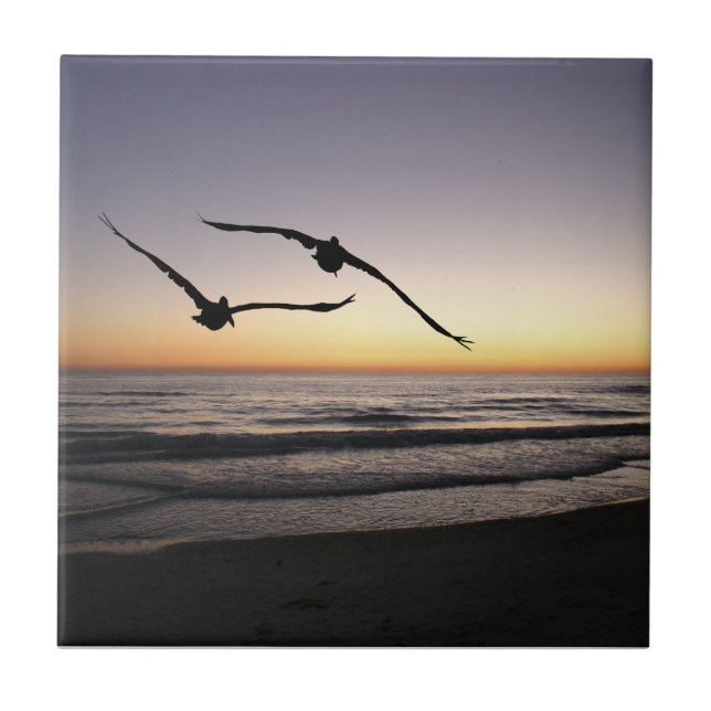 Carreau Trivet en tuile céramique de Beach Shorbirds (Devant)
