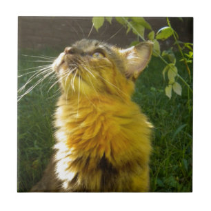 Carreau Trivet en tuile de Kitty précieux