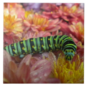 Carreau Trivet en tuile Nosy Caterpillar