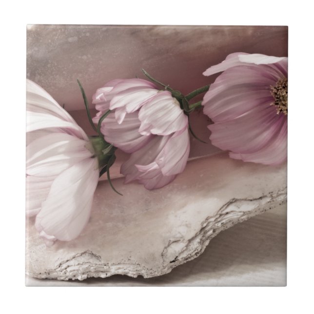 Carreau Trois cosmos roses (Devant)