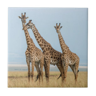 Carreau Trois girafes Poing