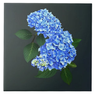 Carreau Trois Hydrangea bleu