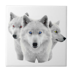 Carreau Trois Loups blancs