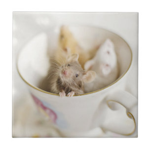 Carreau Trois petites souris