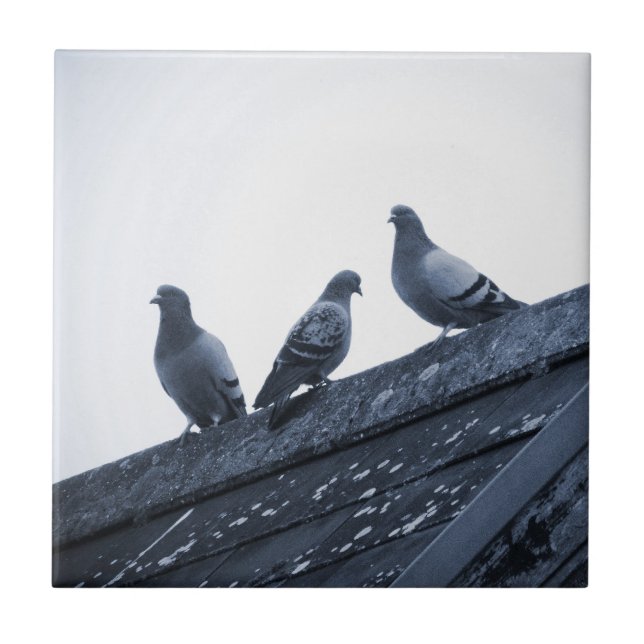 Carreau Trois pigeons sur un toit (Devant)