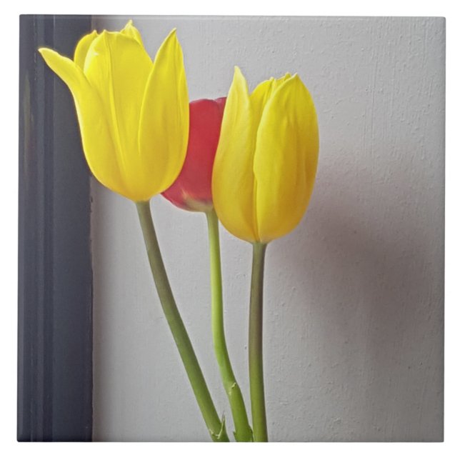 Carreau Trois tulipes colorées en céramique (Devant)