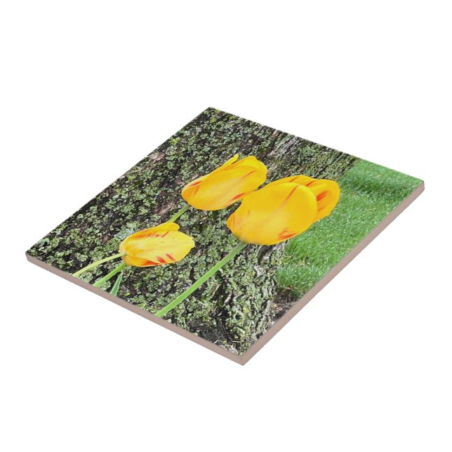 Carreau Trois Tulipes Jaunes / (Côté)
