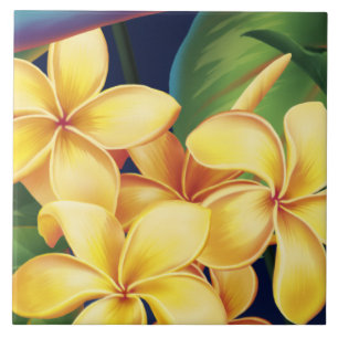 Carreau Tropical Paradise Plumeria Hawaiian Tiles & Trivet