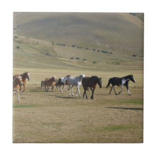 Carreau Troupeau de chevaux