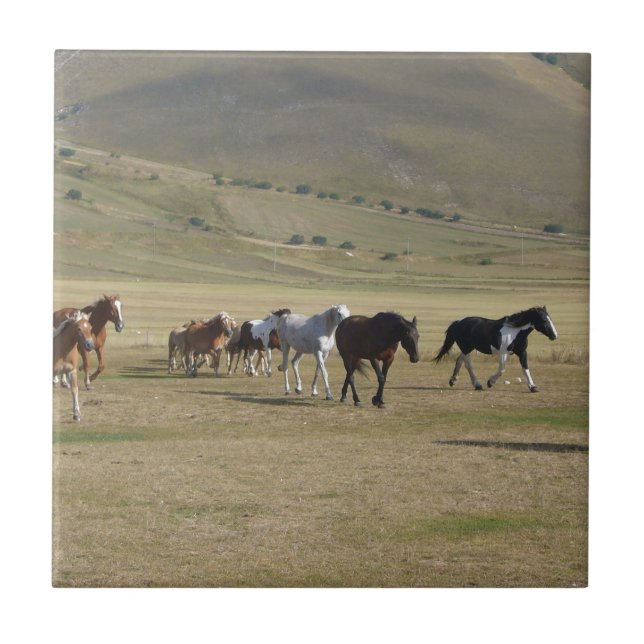 Carreau Troupeau de chevaux (Devant)
