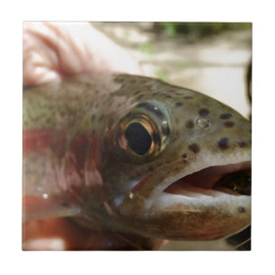 Carreau Trout à Hands