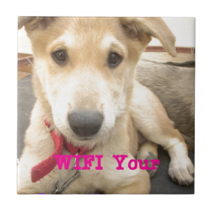 Carreau Tu Devrais WIFI Ton Amour Tous Les Jours