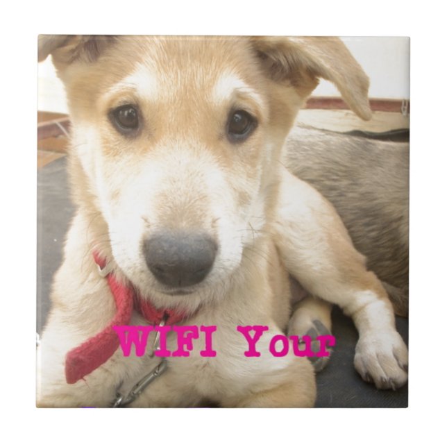 Carreau Tu Devrais WIFI Ton Amour Tous Les Jours (Devant)