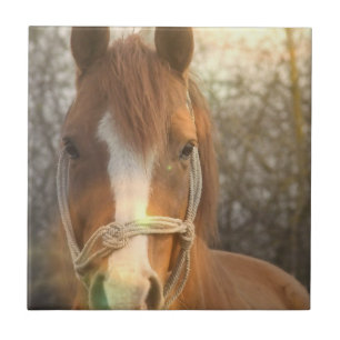 Carreau Tuile arabe de cheval de châtaigne