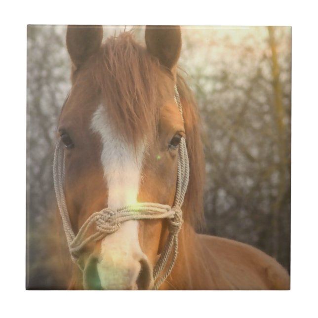 Carreau Tuile arabe de cheval de châtaigne (Devant)
