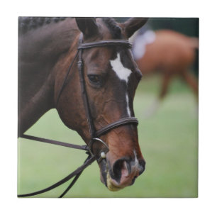 Carreau Tuile Arabe mignonne de cheval