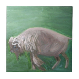 Carreau Tuile blanche de Buffalo