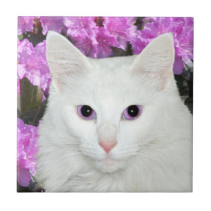 Carreau Tuile blanche de visage de chat
