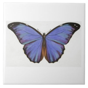 Carreau Tuile bleue vintage de papillon