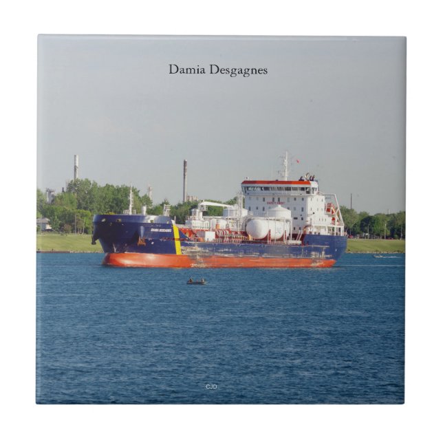 Carreau Tuile Damia Desgagnes (Devant)