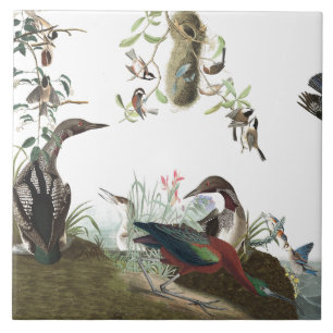 Carreau Tuile d'animaux de faune d'oiseaux de collage