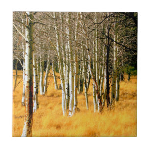 Carreau tuile de bois de tremble